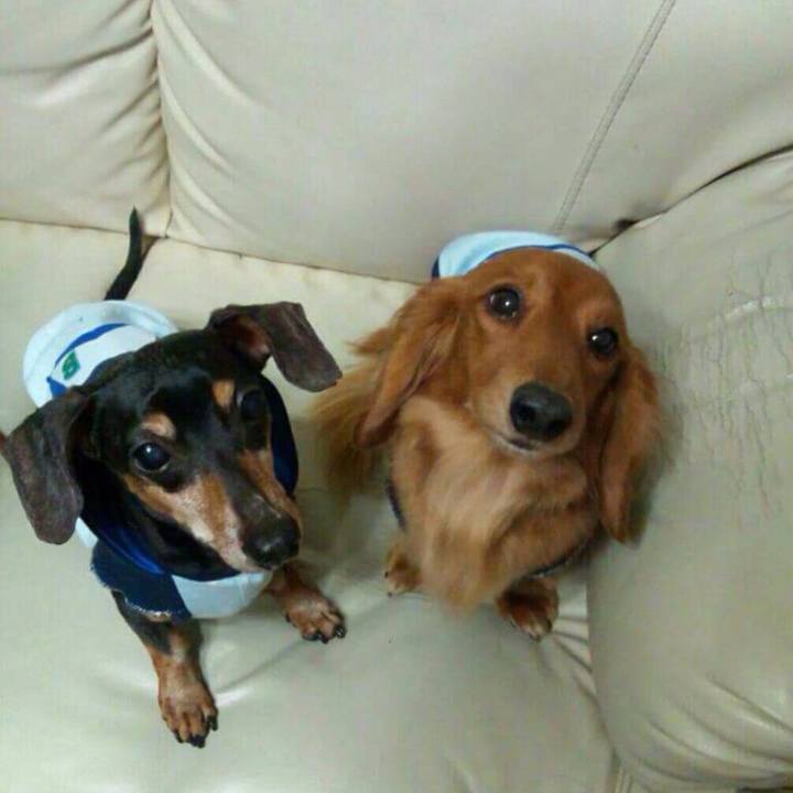 F32534f4 5c9f 4c1a 9db3 72aede80fe34