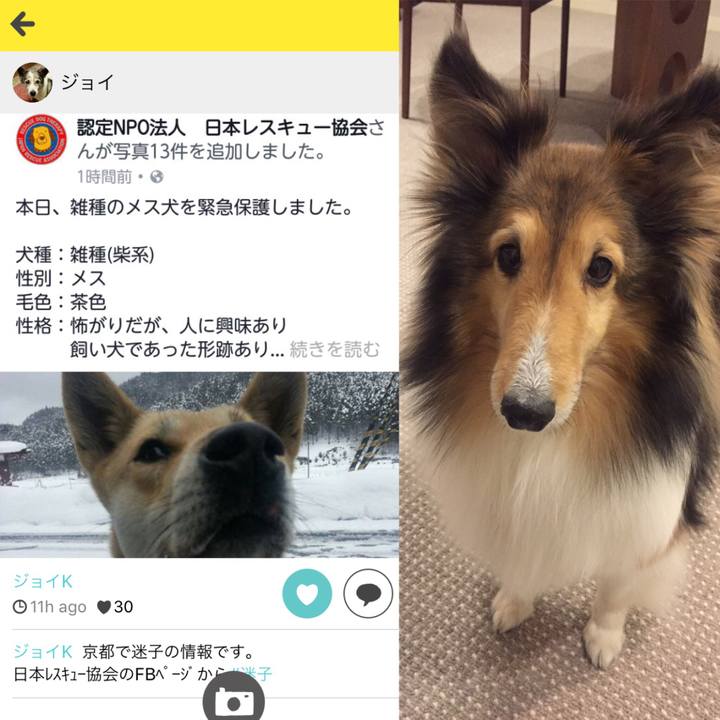 F3254fd8 93de 4ace a228 ceed7cc69177