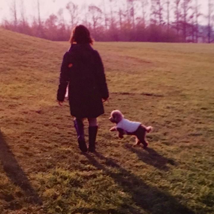 F3256ee7 4e86 4237 9d81 6dde8d208e99