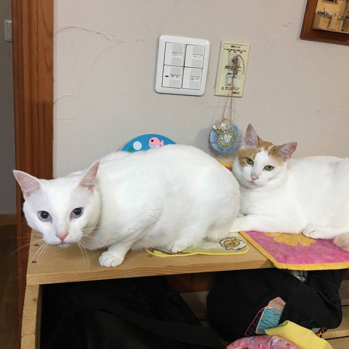 F325e703 c131 4c3c 9bb1 0491b28c179c