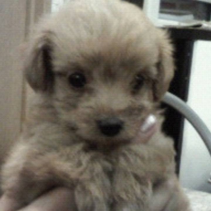 F3264734 de82 401b 94ef 18d1688756c3