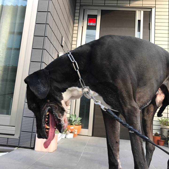 F327eed3 d55f 4611 9669 3238643b8f82