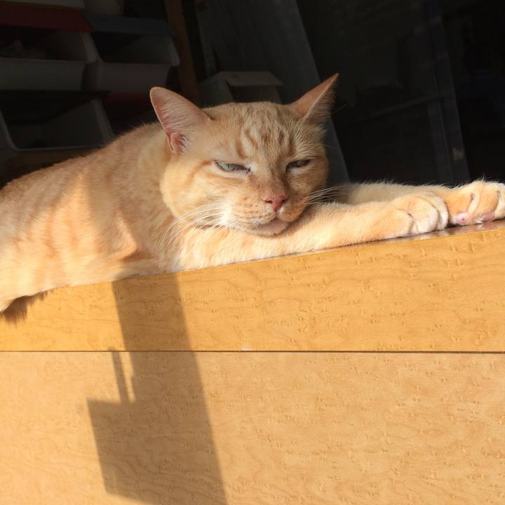 F3280aac a576 432b 848c 71c74ff6a6b6