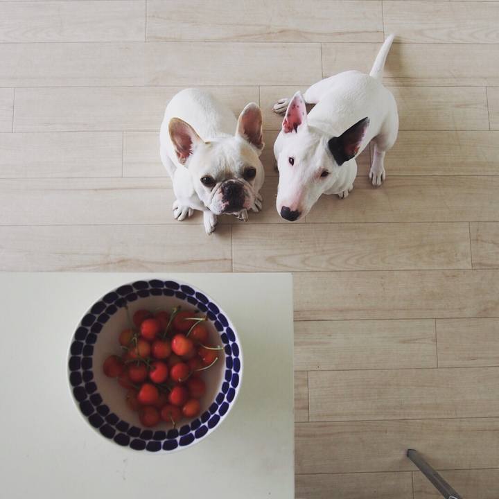 F328158e 287c 42fe 9859 6dad2fd357cd