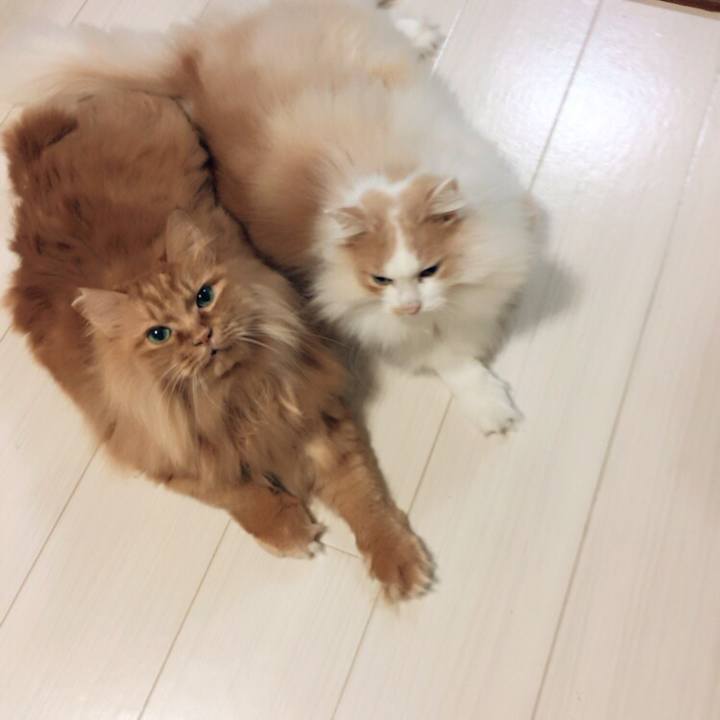 F32820b5 6ec1 4d66 ad14 76989f473104