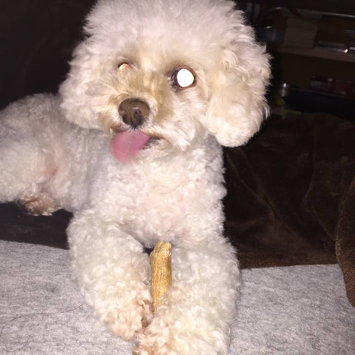 F328933d d290 446a 8373 02226a3b9359