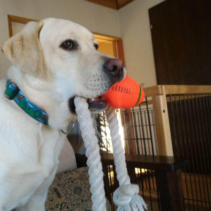 F328b17b cb83 4363 87a8 3615c55f2d36