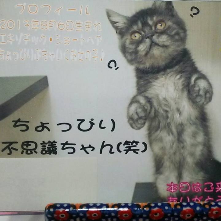 F328cc82 be4d 4bf9 9062 0bbc873cc86d