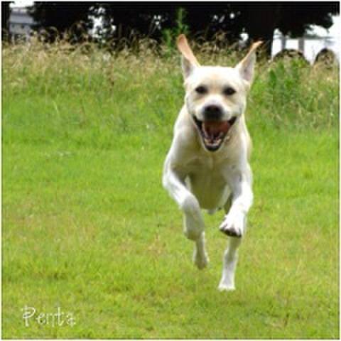 F3290f29 e1c9 4963 b448 01c196e9401c