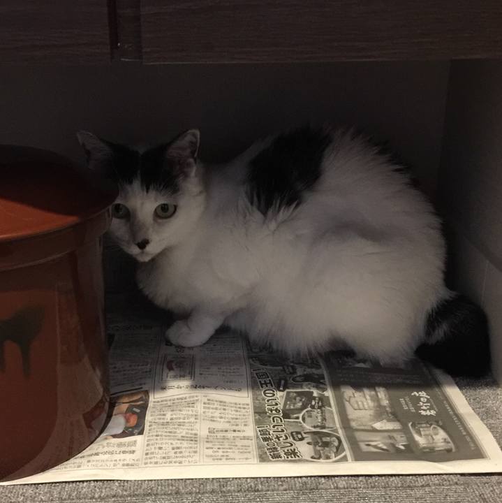 F32a01c3 8e75 43e2 b592 17a96cecb49b