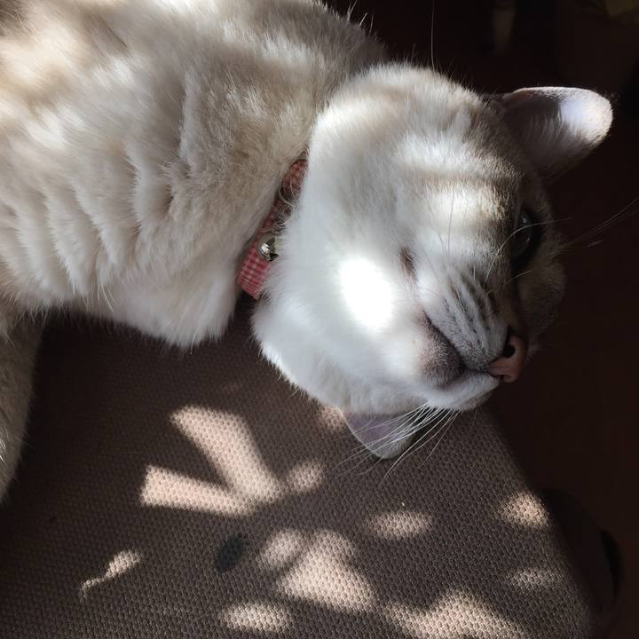 F32a15ab cbc8 4af5 a64e 2fba88330357