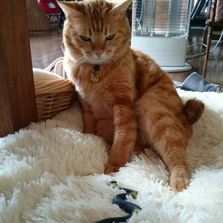 F32a4b79 ddd8 4cb6 b6e2 c9ebe65870f4