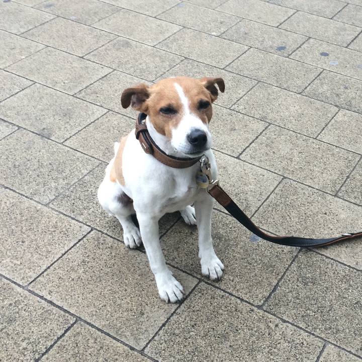 F32a54e8 3e4a 4f00 a6b6 539a02e4c365