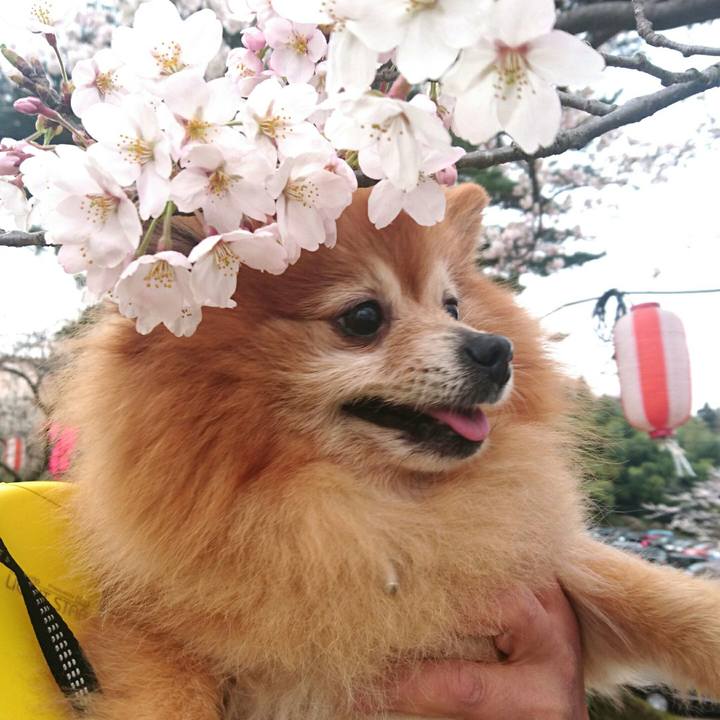 F32abd7b 3121 4f83 a6eb 1d10fb809f4b