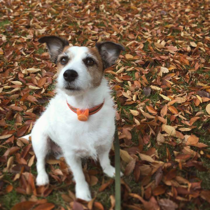 F32aedf0 bf95 4e64 8c77 3ec962bb25c2