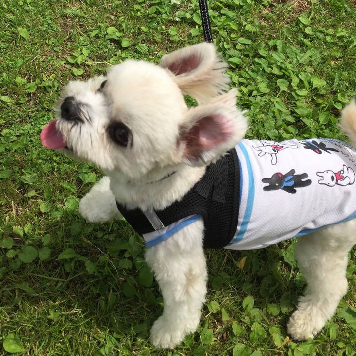 F32b890f d72a 47da 9017 52d3b80f46e7