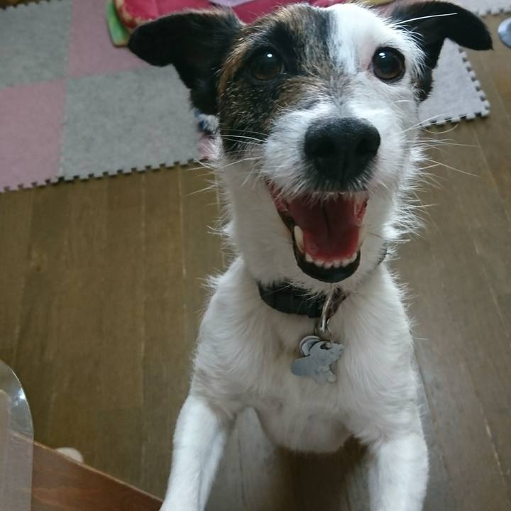 F32b8c5a b4cc 4aed a4d9 4f4a561d1f7e