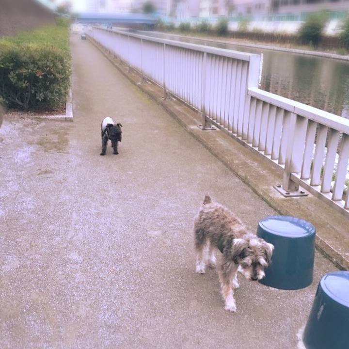 F32cf5a8 114e 4df7 b41e e305108a3ea7