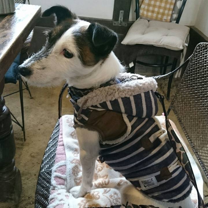 F32d07d1 c779 4eb1 bf2f 52d360e941a2