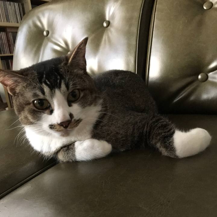 F32d1866 6536 4273 a4a5 4e78195111be