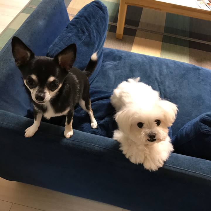 F32d8e00 41ec 441a 903f f78ca2143be3