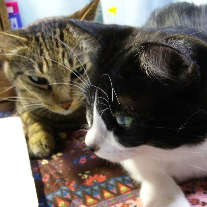 F32d992a d958 42c1 8e58 752632f23284