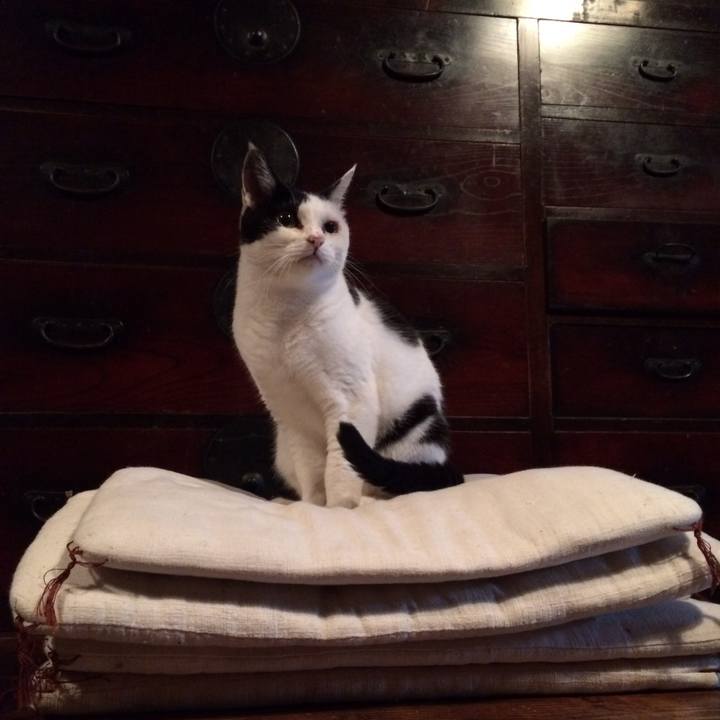 F32dc8a1 186c 45c3 a18c 20757be729b5