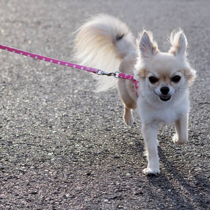 F32edb1c 2d52 4844 91fa 6e18abff75ca