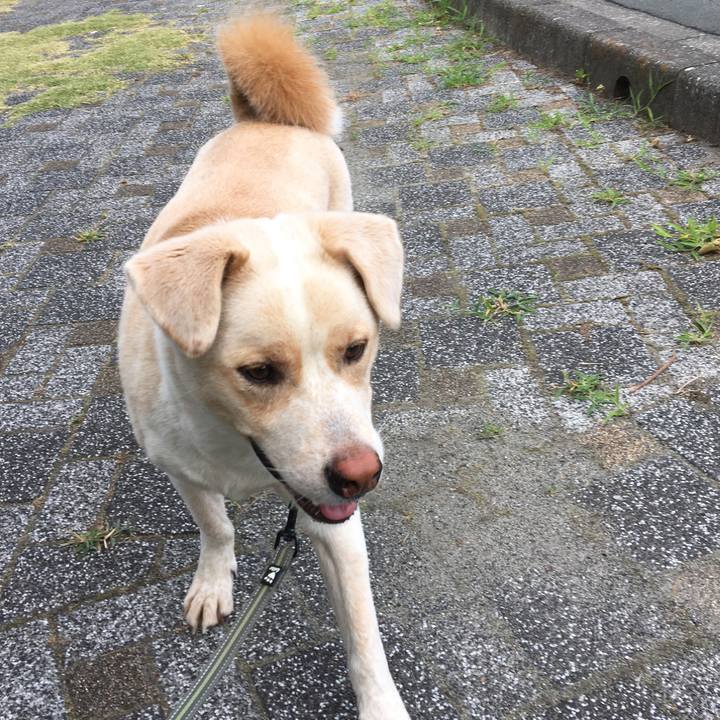 F32eec2c cd93 4b6c af2b 74d56c04e4cd