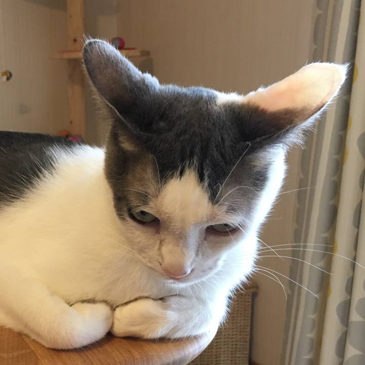 F32f0e11 a204 44ce b03a e962c0bb0ad0