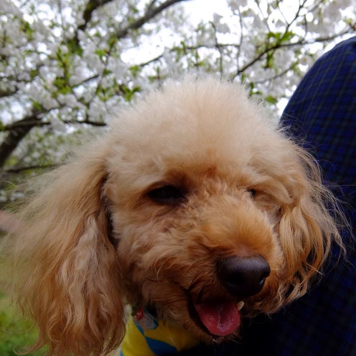 F32f51d9 0be7 446c 9d8c d32711837d40