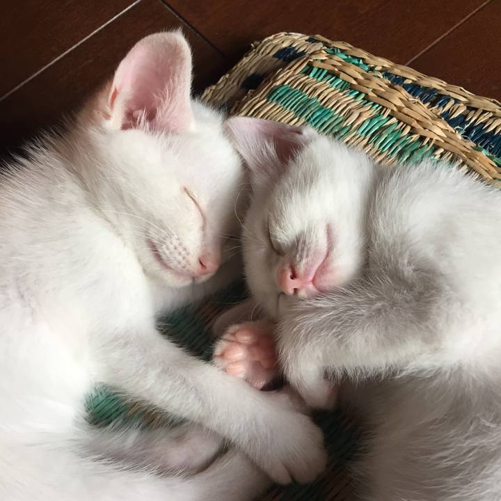 F32f63ed 5580 4eb6 bde2 9adbffe53911