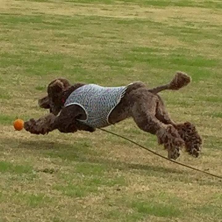 F32f6b19 22a7 4b7a 9eec e37913a14b89