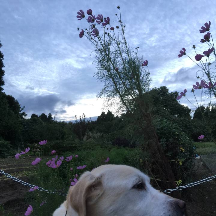 F32f8126 2a70 4faf bd9a b7e21c924df8