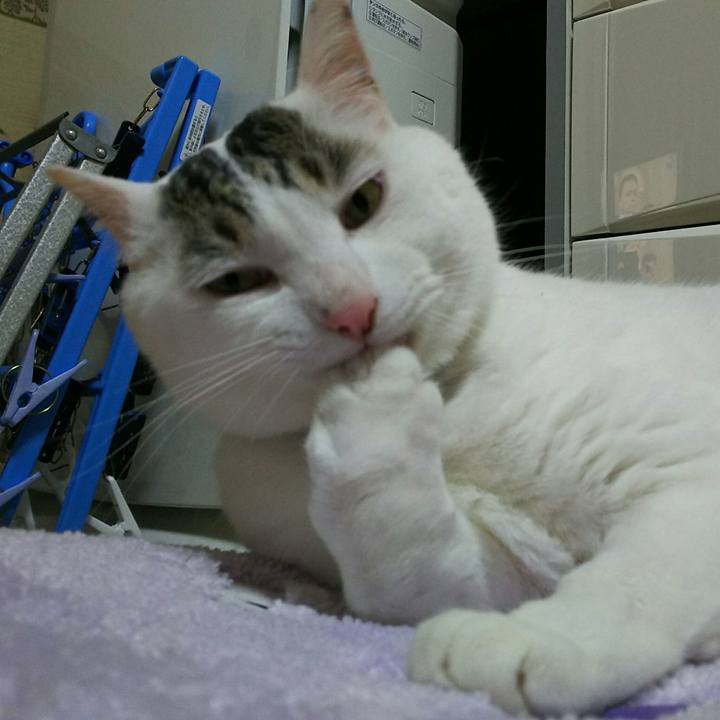 F330178f 37cc 49c6 85cc cf80ef19bfcd