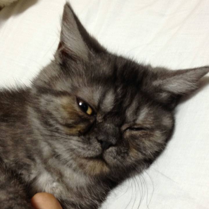 F330280c 3d50 43ca 85df ca79438998f9