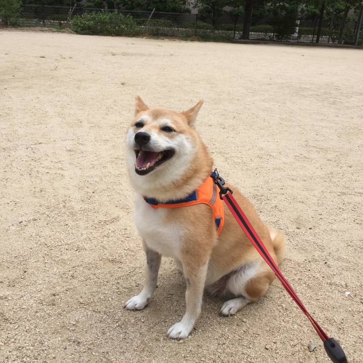 F3303e24 7e0d 4c97 84f0 d67f35c9c743