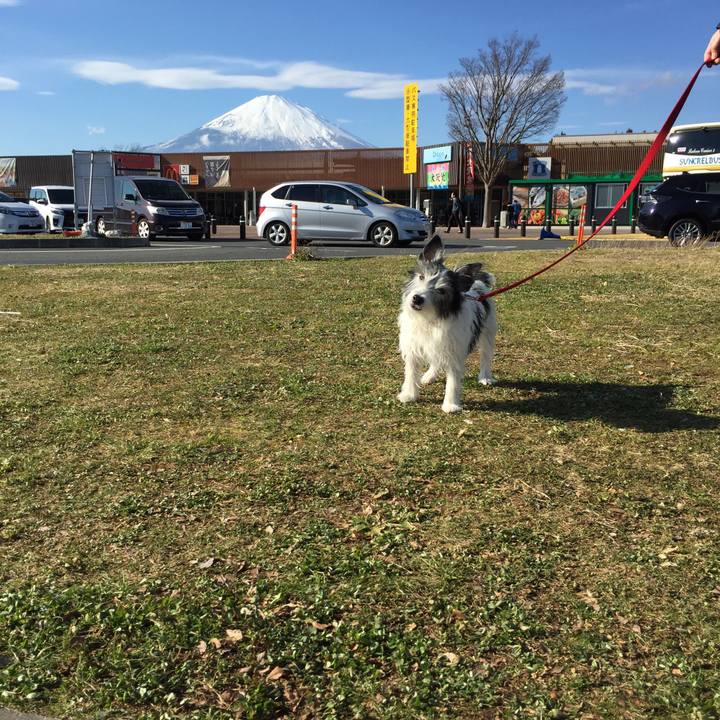 F330a585 c1ec 4960 a269 07a01d4b5d7a