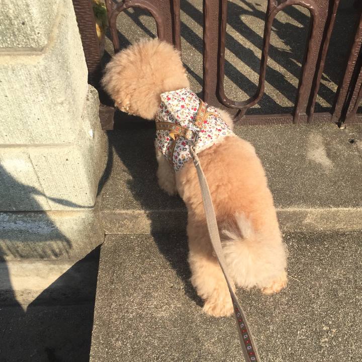 F330da90 dbdb 4c23 9d16 7d1064d05d5f