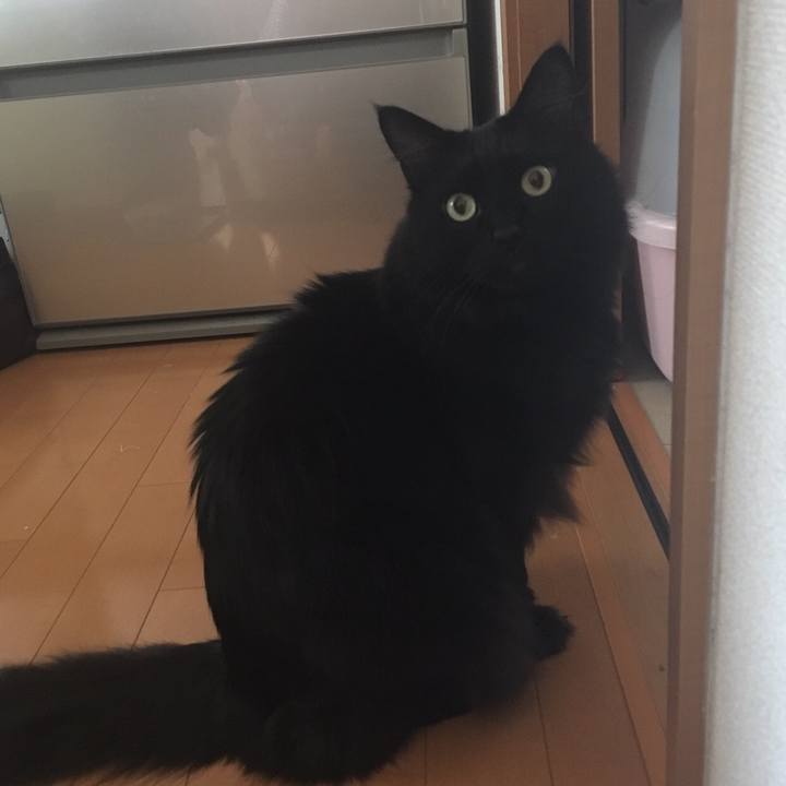 F330e748 c808 4d31 acd6 4086639b9e0e