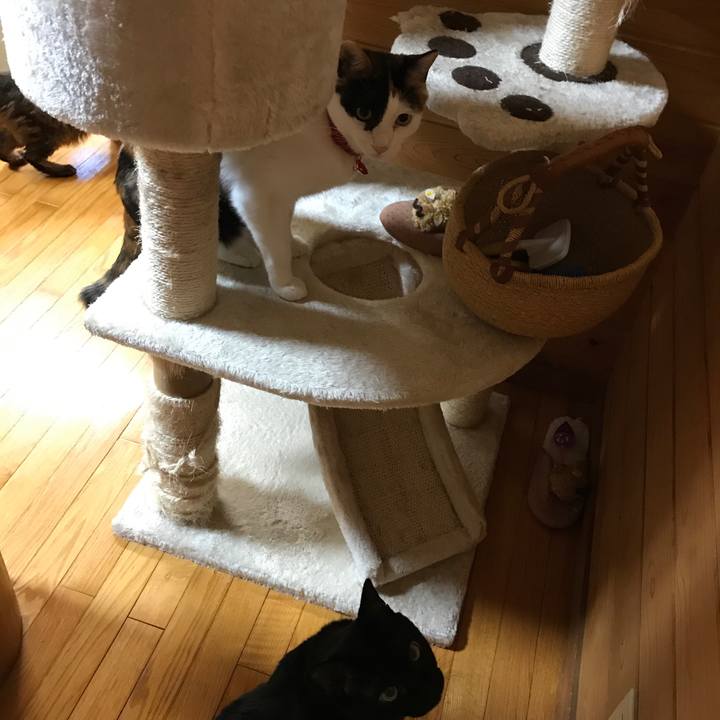 F3311adf 8b38 43c6 bf61 622589b1f83d