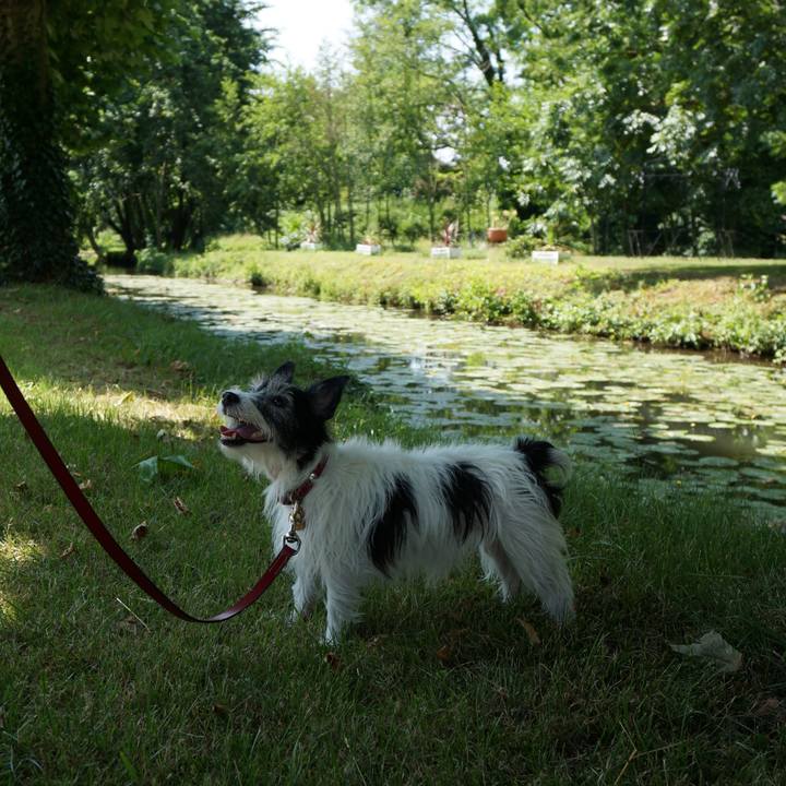 F331bbdc e500 4235 8203 65cfe8b21dfe