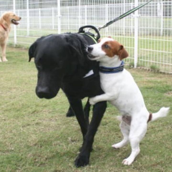 F331d977 6299 4893 ac33 c49f5808232f