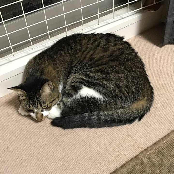 F3328acf c8a4 49a3 8d55 15908a78c865