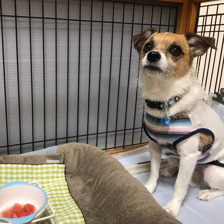 F332a0d5 c9e6 4848 b316 3b71dacc1ed2