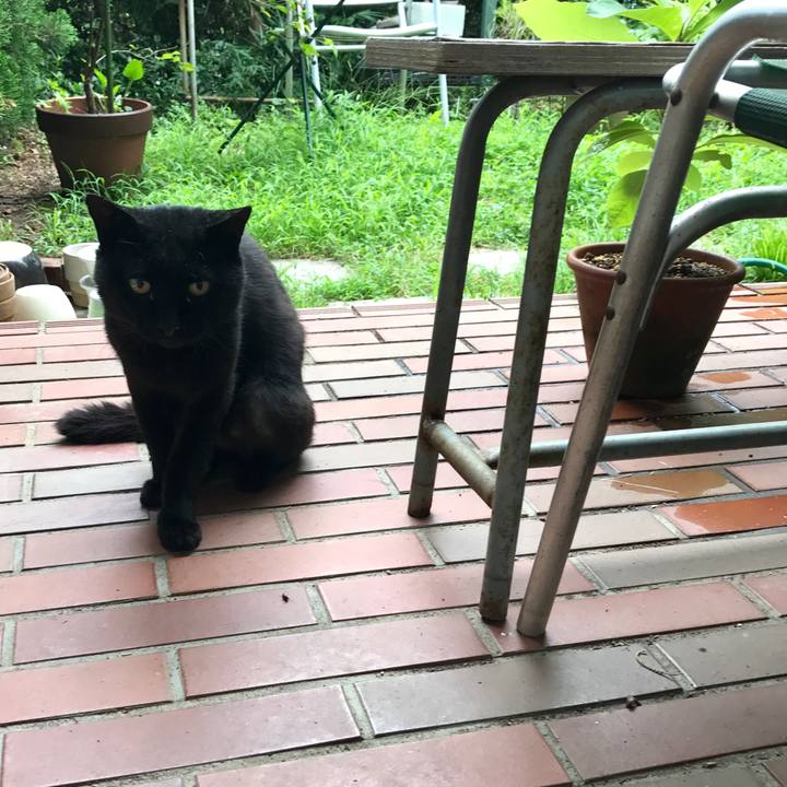 F332dd34 4dba 43c5 8123 db519f5b77a8