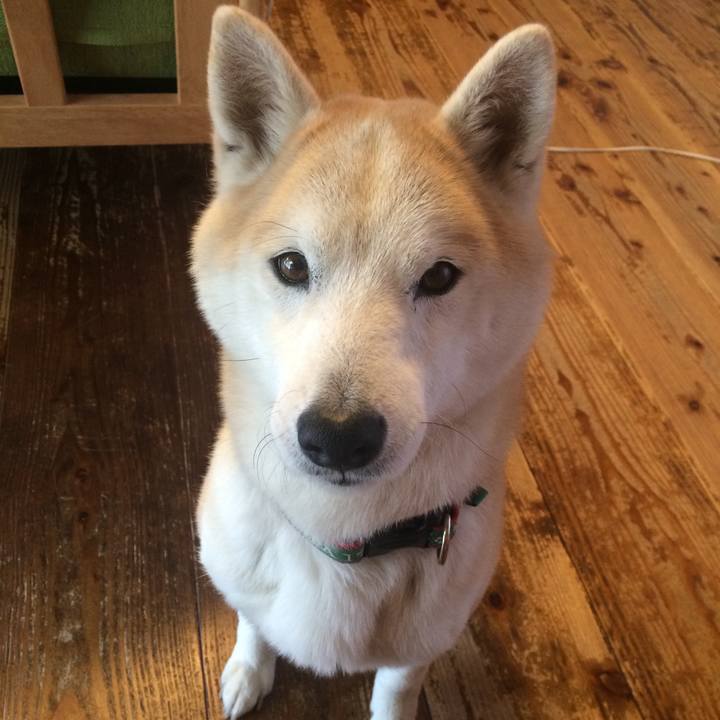 F3331555 e9de 4293 8355 463aac5e0a38