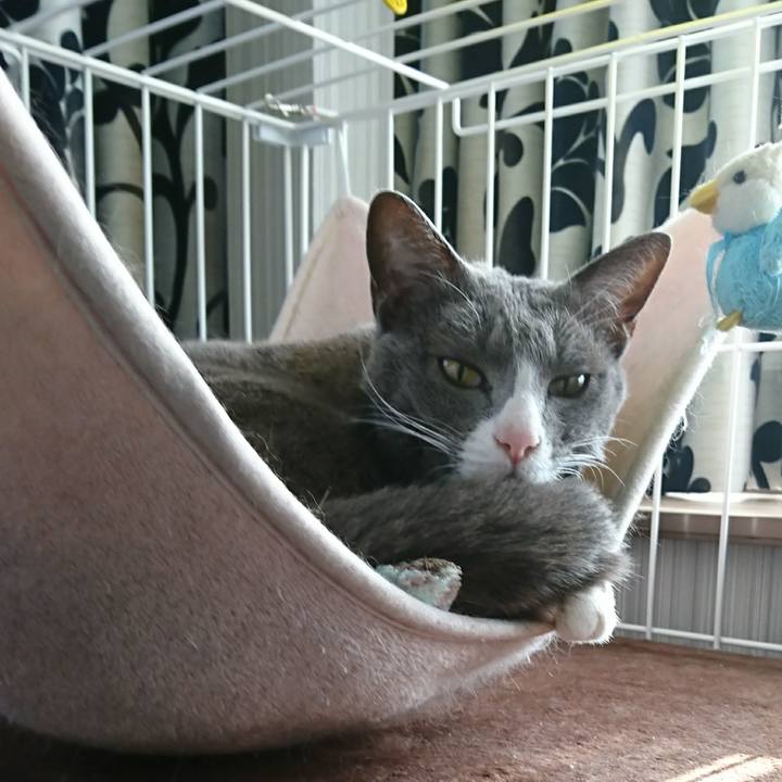 F334484b c829 460d 945e 17a2e421e60e