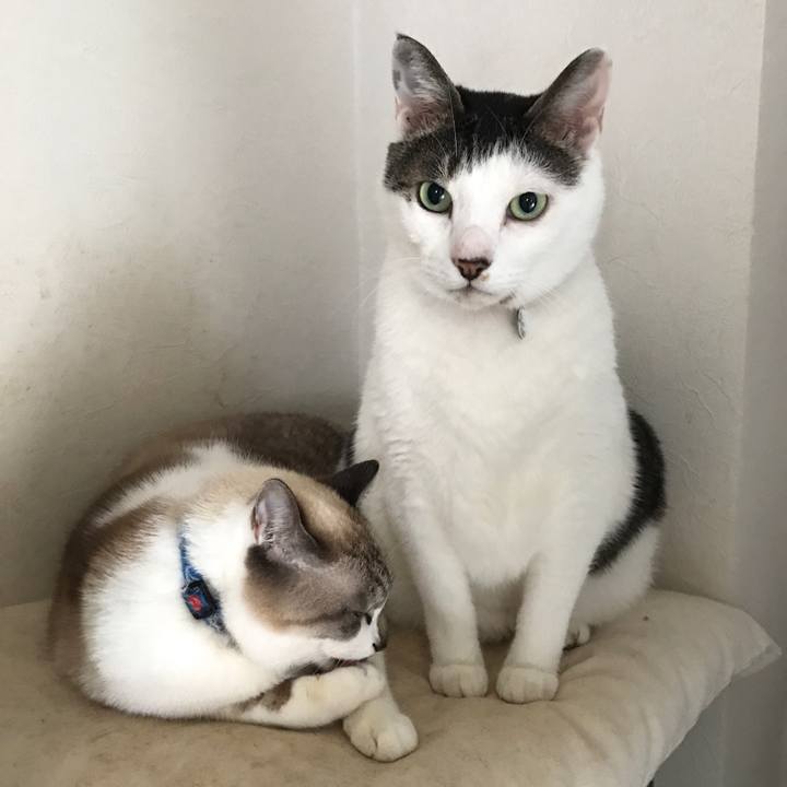 F334953c 9025 406b 865c e73167f5a991