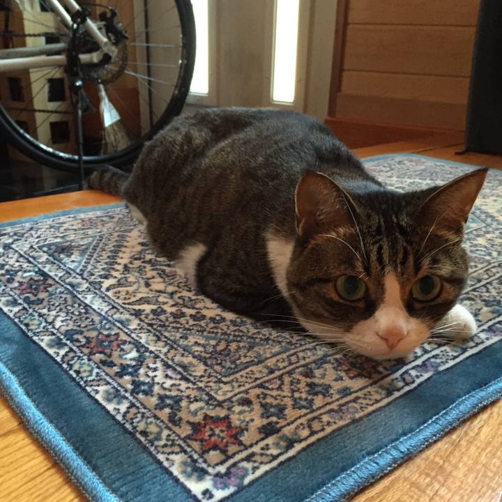 F334a7cd dcf1 4f8c ad08 d2897540b6b9